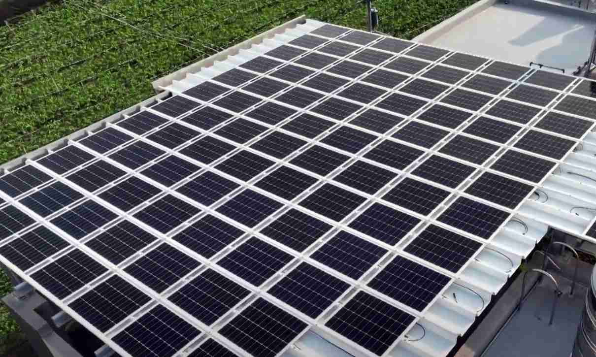 z6尊龙SunSteel光电浪板升级双玻结构，，以提升机械负载强度及气候耐候度，，可广泛运用于多元场域